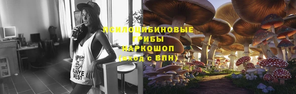 а пвп мука Медвежьегорск