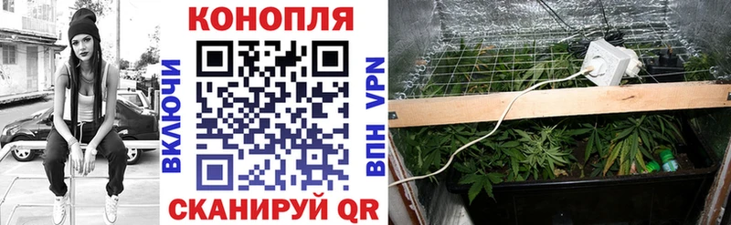 где купить наркотик kraken ТОР Бошки Шишки Amnesia Артём